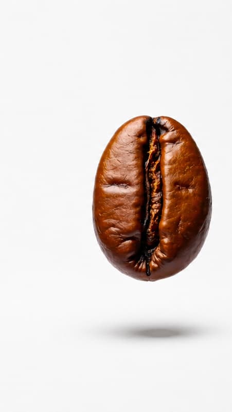 Caffè Hardy per bar, ristoranti e locali professionali